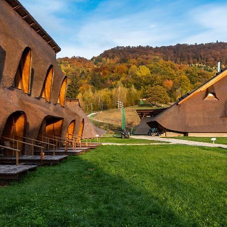 Cuibul De Lemn Hotel Rîşnov Екстериор снимка